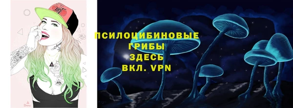 а пвп мука Нягань