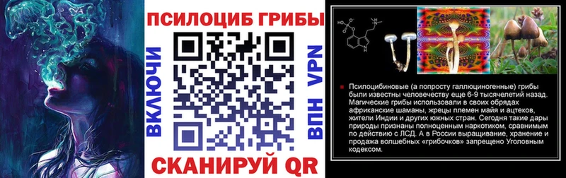 hydra tor  Лесозаводск  Псилоцибиновые грибы мицелий 