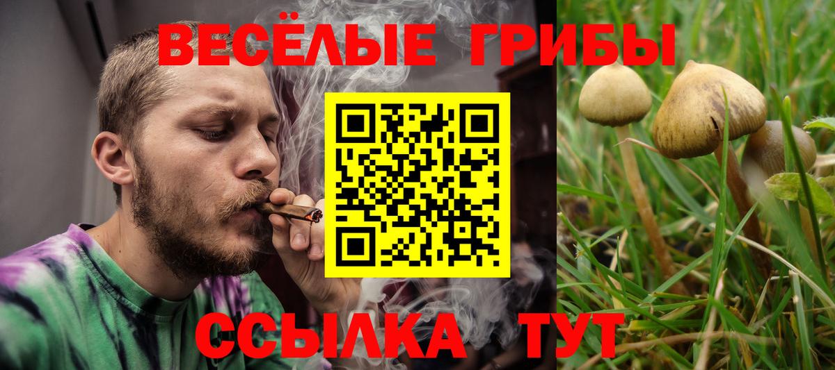 Псилоцибиновые грибы мицелий  Псилоцибиновые грибы ЛСД  Лесозаводск  Вход с VPN 